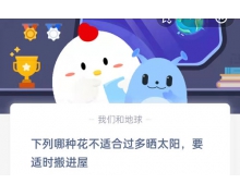 下列哪種花不適合過多曬太陽，要適時搬進屋 螞